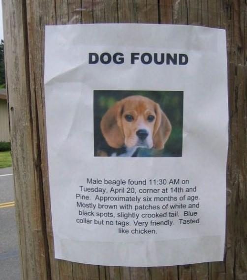 dogfound
