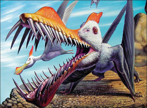 Pterosaur