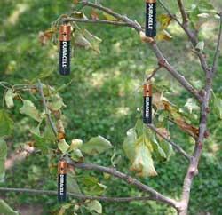 Duracell Tree